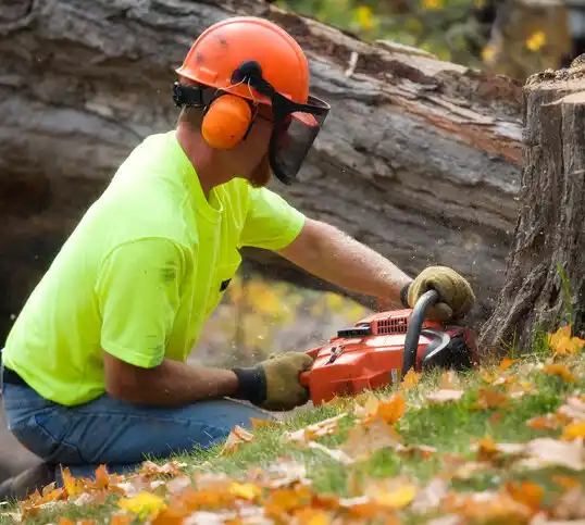 tree services Noyack